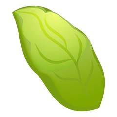 Poster - Green leaf icon. Cartoon of green leaf vector icon for web design isolated on white background