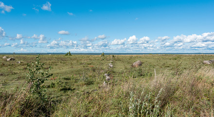 Wall Mural - estonian landscape