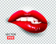 Sexy red lips isolated on transparent background. Bite lip. 3D design. Vector illustration.
