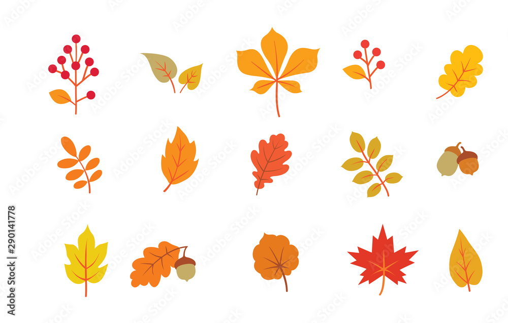 Autumn leaves set. Fall leaf nature icons over white background. Nature floral symbol collection - obrazy, fototapety, plakaty 