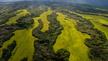 Aerial View From A Fixed Wing Airplane Of Interior Kaui, Hawaii, USA Near Lihue Showing Lush Green Meadows, Tropical Forests