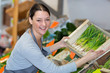 female grocer moving crate of vegetables