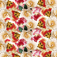 Fotomurales - Beautiful floral background of roses and tulips. Isolated