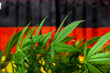 Wall Mural - Cannabis plant and German flag