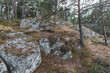 Sweden wilderness