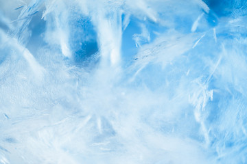 Wall Mural - blue frozen texture of ice