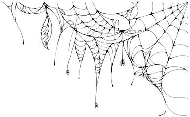 Wall Mural - black torn spider web on white background halloween symbol