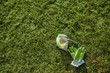 Fertilizer for grass growth in granules with gloves and scoop on the grass. Image with copy space