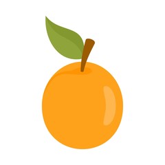 Poster - Fresh apricot icon. Flat illustration of fresh apricot vector icon for web design