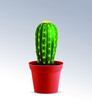 Green cactus in a pot isolated on lighte background, home plant, flower, exotic, tropics. Realistic vector flower. EPS10