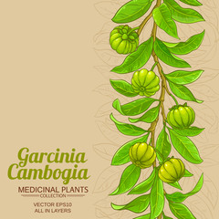 Wall Mural - garcinia vector background