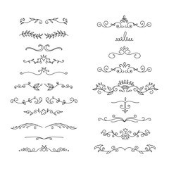 Wall Mural - hand drawn floral dividers set in doodle style. vector illustration