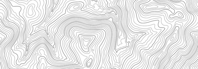 light topographic line contour map background, stock vector illustration
