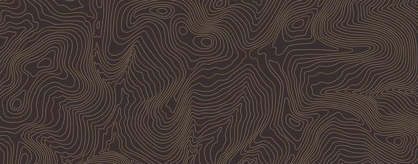 Wall Mural - background of topographic line contour map, black-white design of geographic grid map