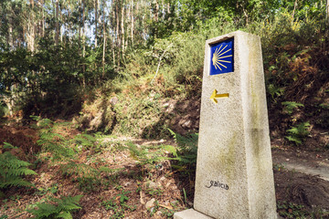 Wall Mural - Way of St. James milestone