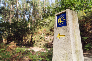 Wall Mural - Way of St. James milestone