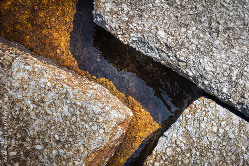 Fotomural Geometric Rock Closeup at Lake's Edge