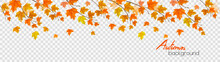 Nature Autumn Panorama With Colorful Leaves And Raindrops On Transparent Background. Vector