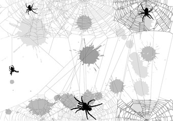 Wall Mural - background with spider in webs and blots isolated on white