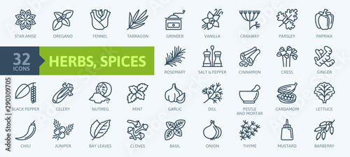 Fotografía Spices, condiments and herbs - minimal thin line web icon set