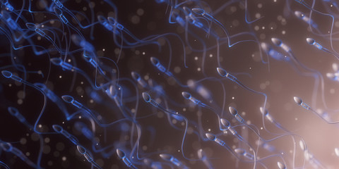 3d rendered illustration of human sperm