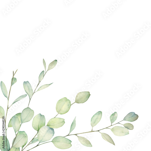 Watercolor floral card with eucalyptus branch. Hand drawn botanical illustrat...