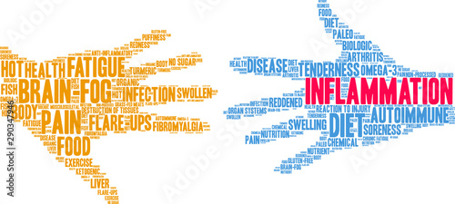 Cuadros en Lienzo Inflammation Word Cloud on a white background.