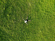 © Svetlana - View from above happy man lying on fresh green grass relaxing