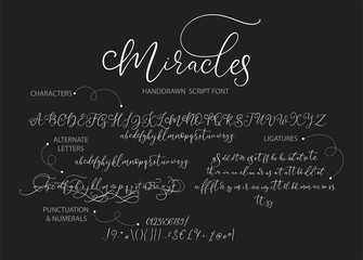 Wall Mural - Hand drawn vector alphabet ABC with alternates, ligatures, letters, numbers, symbols. For calligraphy, lettering, hand made quotes.