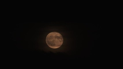 Wall Mural - full yellow moon rise on cloudy and smoky sky