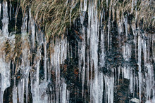 Large Icicles On The Cliff Wall In Boscastle. Cornwall, UK.
