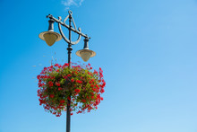 Beautiful Red Flowers In A Hanging Basket On A Lamp Post.