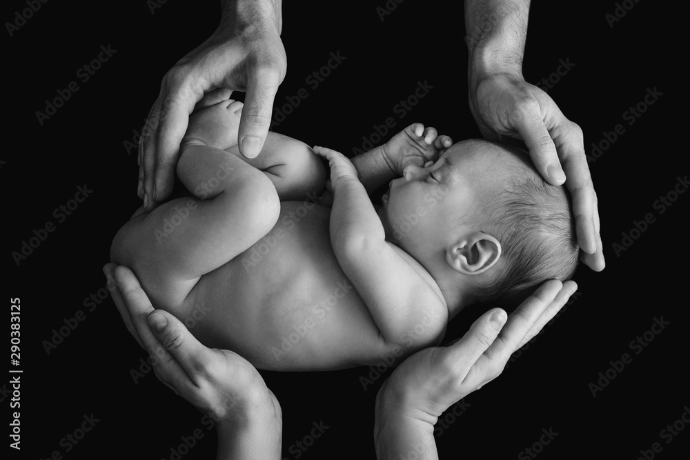Cute newborn baby in the father's and mother's hands - obrazy, fototapety, plakaty 