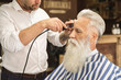 Hairdresser making stylish haircut for a handsome old man