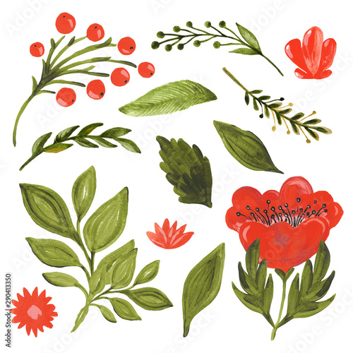 Cuadros en Lienzo Collection autumn flower green leaves berry branch on white isolated background