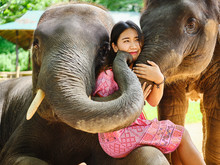 Female Thai Tourist Having Fun With Baby And Mother Elephant At Sanctuary In Thailand