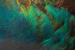 © chamnan phanthong - Closeup peacock feathers for beautiful background