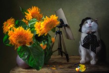 Still Life With Bouquet Of Sunflowers  And Cat - Painter