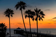 Sunset view of palm trees and pier on Manhattan Beach in evening in Los Angeles, California, USA. Vintage processed. 