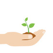 © blindturtle - A hand holding a baby plant dig inside soil.Ecology concept.