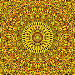 Poster - Abstract floral mandala background design - circular vector geometry