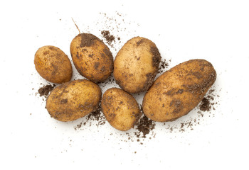 Wall Mural - Fresh Organic Potatoes Isolated On White Background