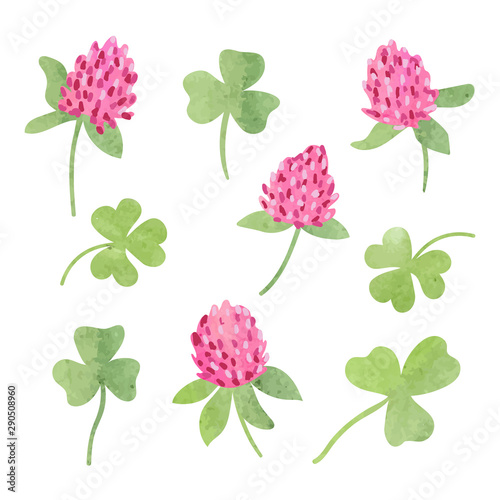 Set of clover flower. Vecto...