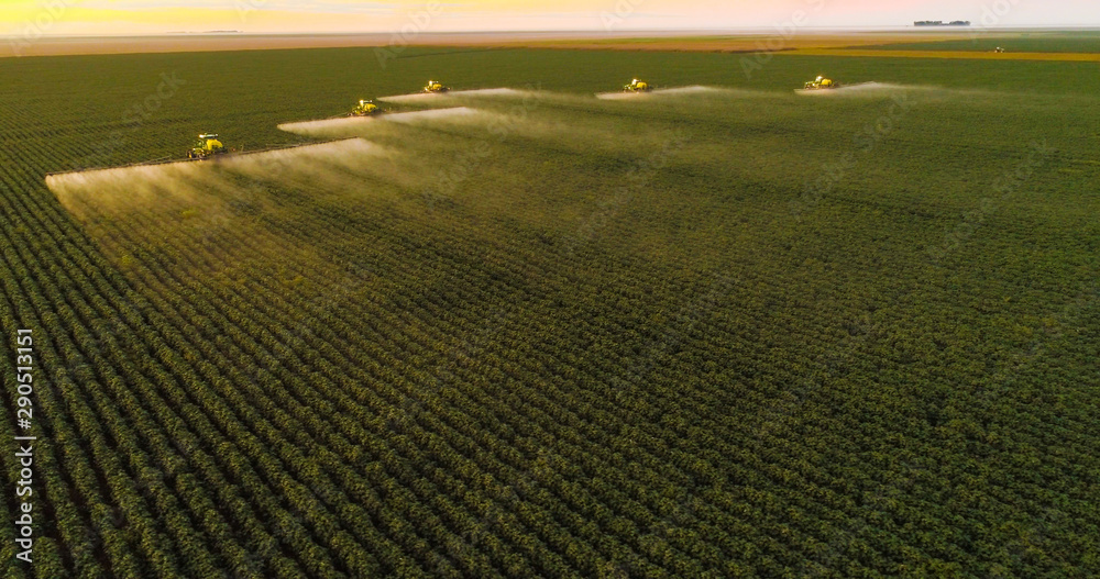 Spraying pesticides and fertilizers on sunset cotton crop - obrazy, fototapety, plakaty 