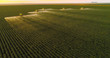 Spraying pesticides and fertilizers on sunset cotton crop