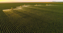 Spraying Pesticides And Fertilizers On Sunset Cotton Crop