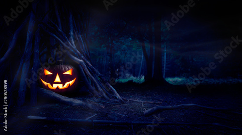 Fotomural A single halloween Jack O Lantern hiding in a wood shelter, campsite on the forest floor on the left side of frame with space for text on the right