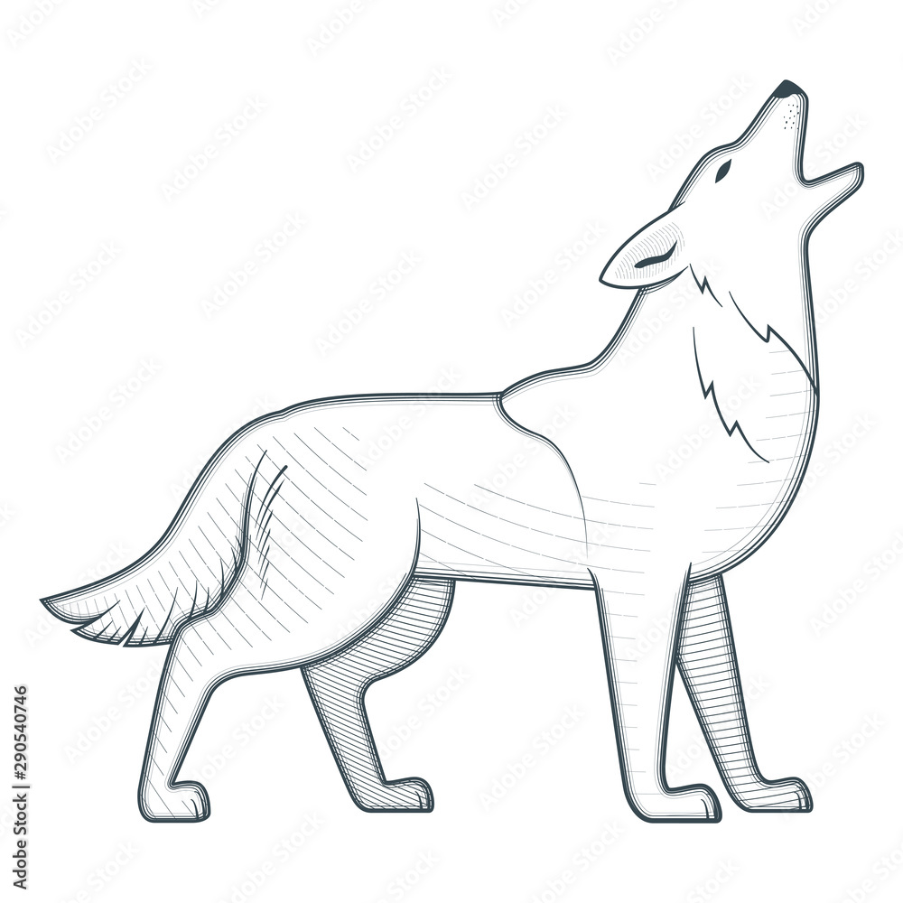 Howling wolf vintage vector illustration Stock Vector | Adobe Stock, image size:1000x1000