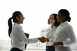 Positive female business partners greeting each other. Business women standing near office window, smiling and shaking hands. Introduction concept