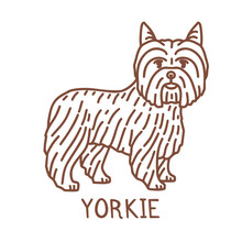 Isolated Yorkshire Terrier In Hand Drawn Doodle Style